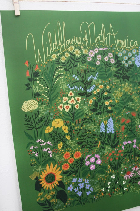 Wildflowers of North America Poster