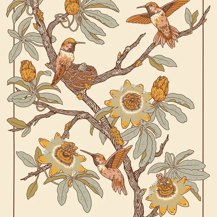 Hummingbirds and Passion Flowers