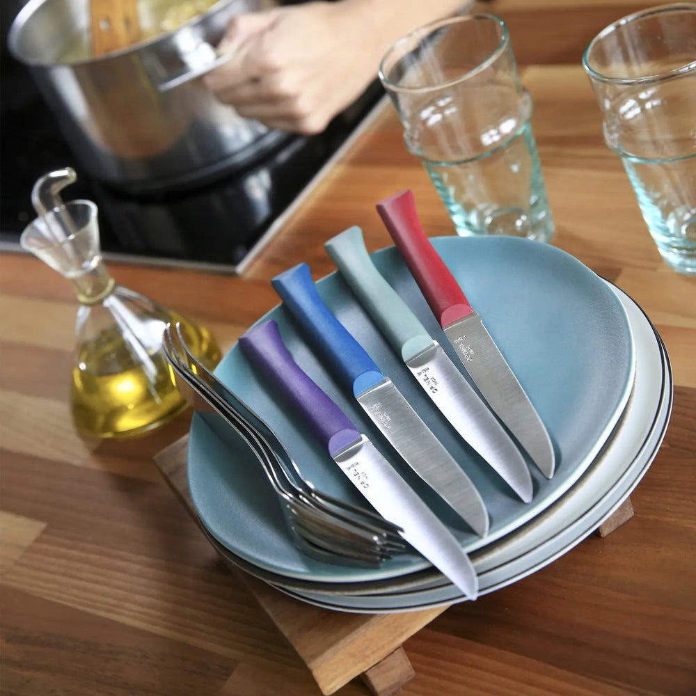 Steak & Table Knives Set