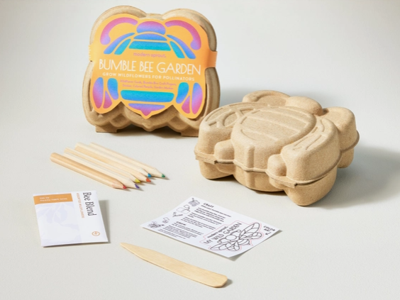 Curious Critters Bee Activity Kit