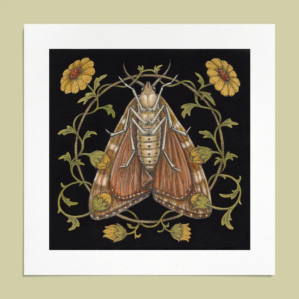 Moth Fine Art Giclee Print