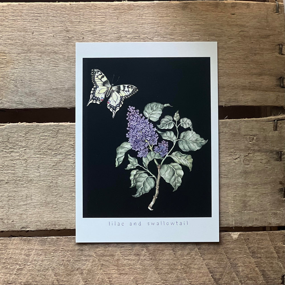 Lilac and Swallowtail Print