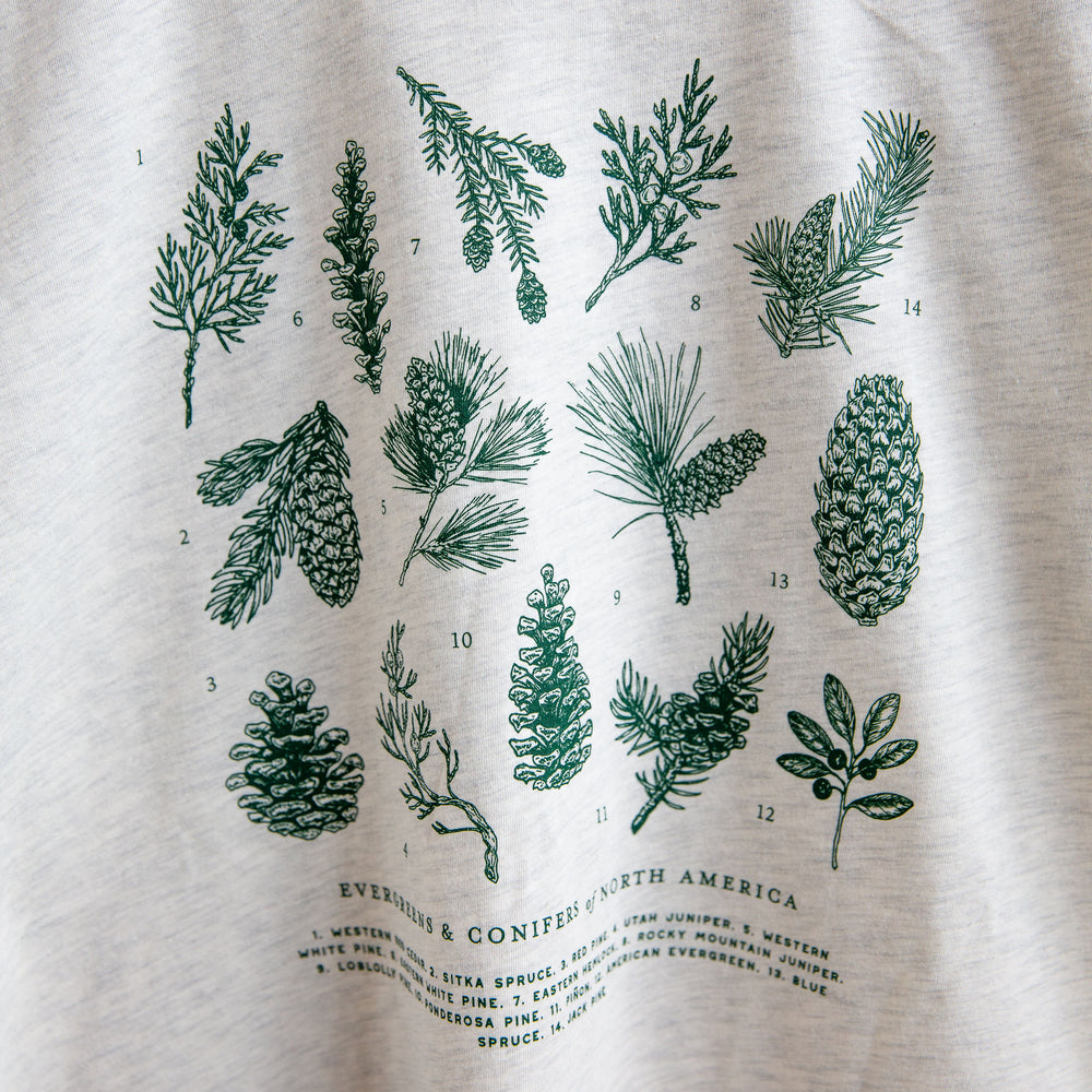 Evergreens of North America T-Shirt