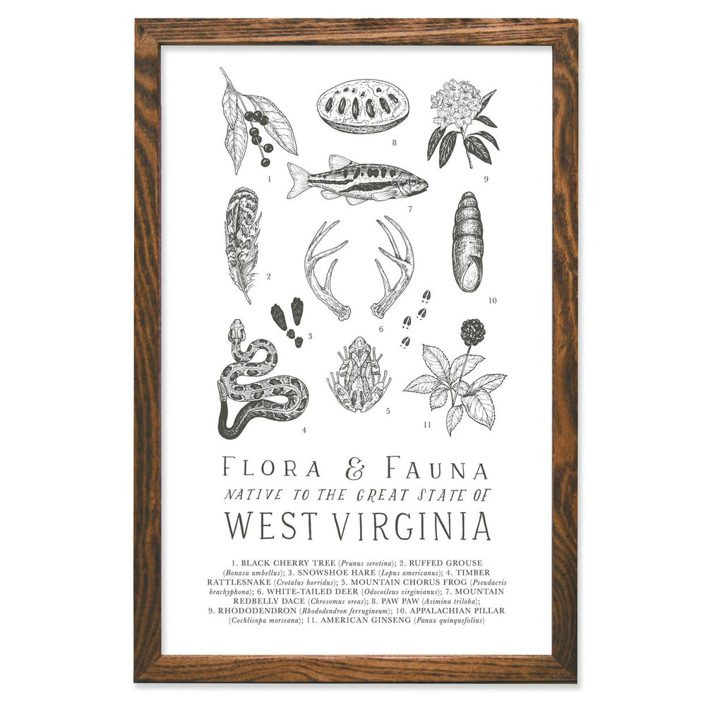 West Virginia Field Guide Print