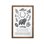 Yellowstone Field Guide Letterpress Print