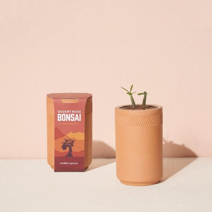 Terracotta Grow Kit