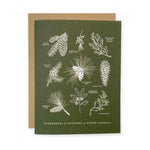Evergreens and Conifers of North America Greeting Card
