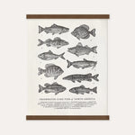 Guide to Freshwater Fish