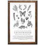 Shenandoah National Park Field Guide Print